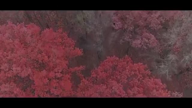 Обзор творчества Asher Draculescu смотреть онлайн