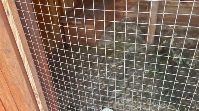 Дни из жизни: Работа, Отношения с телом, Дом, Свадебные приготовления, Ужин в ресторане, Минск смотреть онлайн