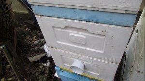 ответы на вопросы - про вентиляцию для зимовки в ульях ППУ и ППС.