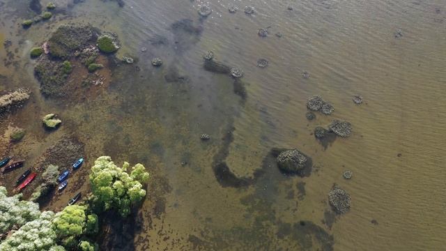 Переславль-Залесский, озеро Плещеево, 03.09.22 (Pereslavl-Zalessky, Lake Pleshcheyevo) смотреть онлайн