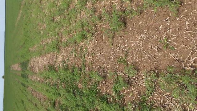 Гербицид Гардо Голд на нуте смотреть онлайн