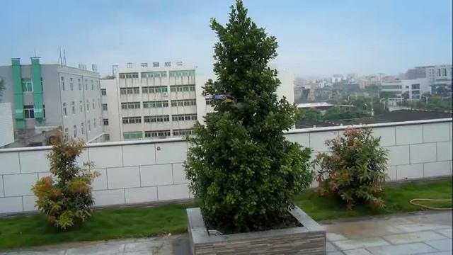 Cheerson Hobby RC Helicopter 6051, 6-axis GYRO смотреть онлайн