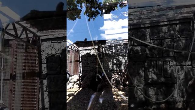 С Василисой нашей малышкой в Сафари парке VID 20150701 132624 смотреть онлайн