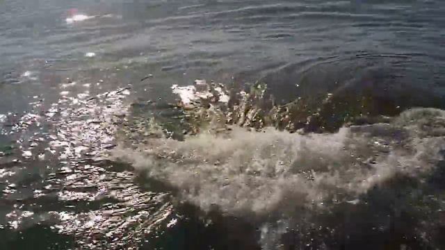КРЫМ 2017 июль(1) смотреть онлайн