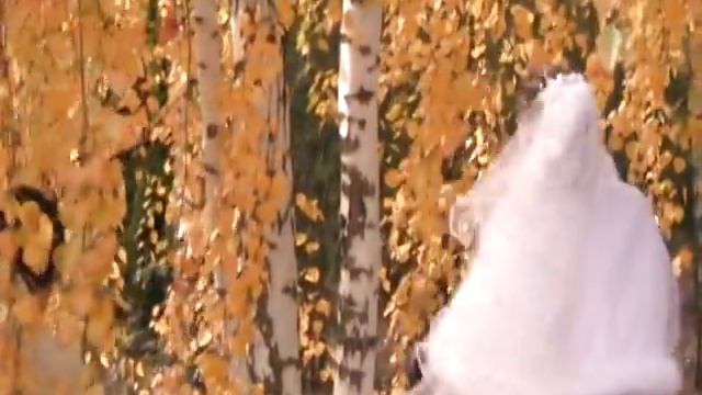 Океан Эльзы така як ти.avi смотреть онлайн