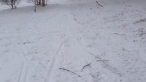 Мини снегоход "вьюга"ЗиД