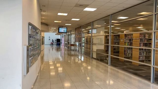 Библиотеки в Южной Флориде | Жизнь в США | Факты о Флориде #жизньвамерике #сша #флорида #интересно смотреть онлайн