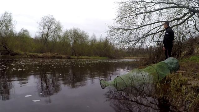 ОДНА ЗА ОДНОЙ, ВЕЧЕРНИЙ КЛЁВ ЕЛЬЦА!!!