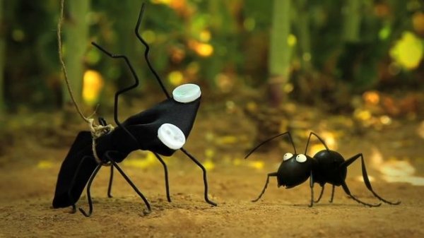 Minuscule - An Acorn Season