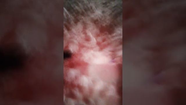 Новогодние свечи смотреть онлайн