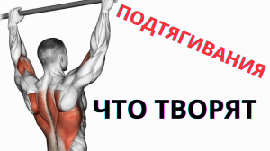 Можно ли подтягиваться каждый день?