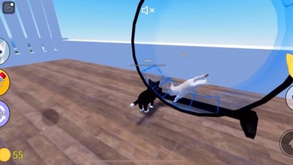 Roblox kitten game…