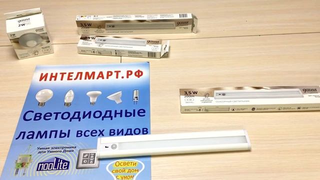 Светильники с датчиком движения и освещенности Gauss. Обзор
