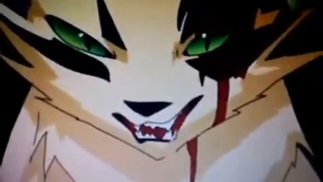 Коты воители бич бос //клип\\ смотреть онлайн