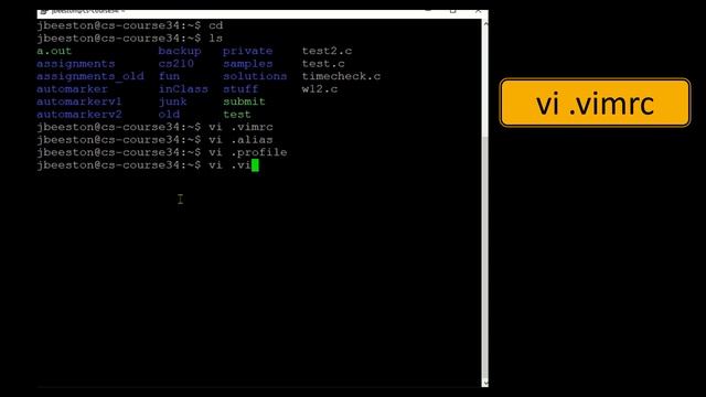 CS210 Server Asthetics смотреть онлайн