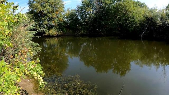 Голодная ЩУКА смотреть онлайн