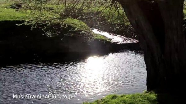 One hour of Perfect pitch programming to listen every night