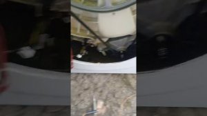 Зависает стиральная машина Индезит, 3 простых совета для устранения проблемы