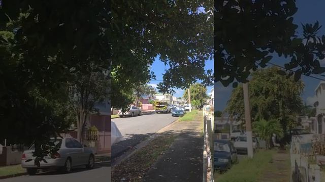 Como en Puerto Rico venden verdura смотреть онлайн