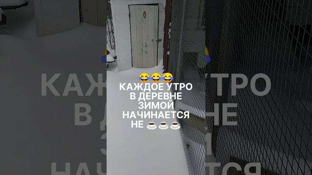 Снежной зимой каждое утро начинается одинаково! смотреть онлайн
