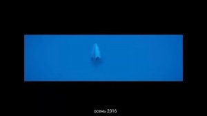 Все рекламные заставки канала Карусель