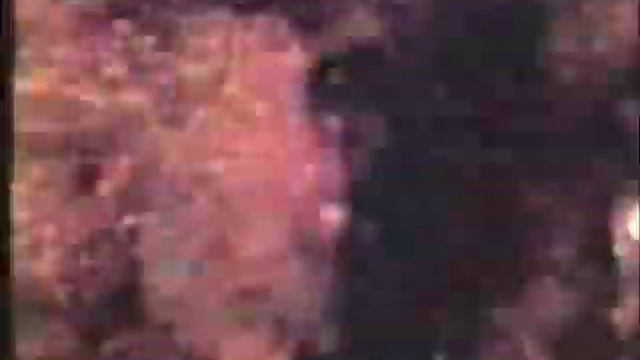 Stan Brakhage, "Mothlight" (1963) смотреть онлайн