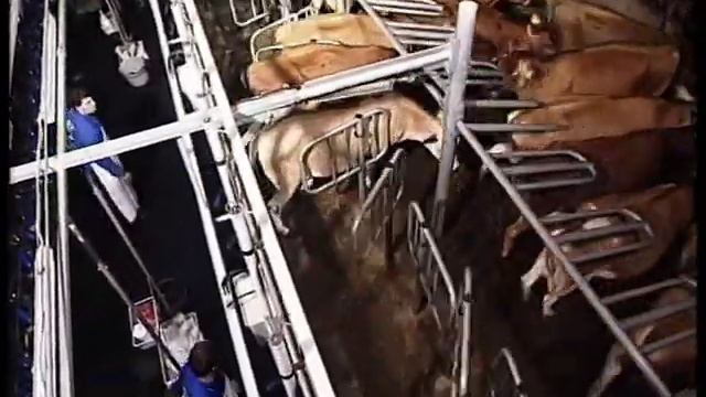 "Карусель" смотреть онлайн