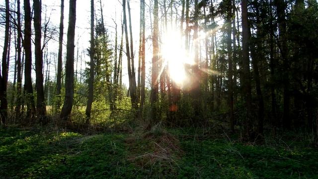 Не пропусти весну 3