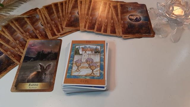 Aries ♥️ Upcoming! Each Day Of The Week, Timestamped Tarot & Oracle Reading 26 september - 2 octobe смотреть онлайн