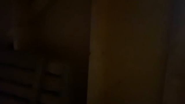 Льняная эковата на чердаке