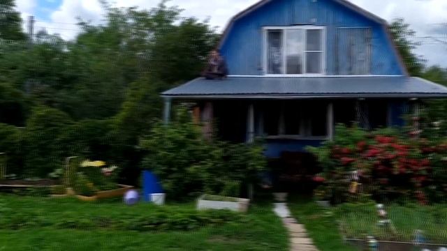 КУПИЛИ ЗАБРОШЕННУЮ ДАЧУ!ОБЗОР УЧАСТКА 6 СОТОК дАЧА С НУЛЯ смотреть онлайн