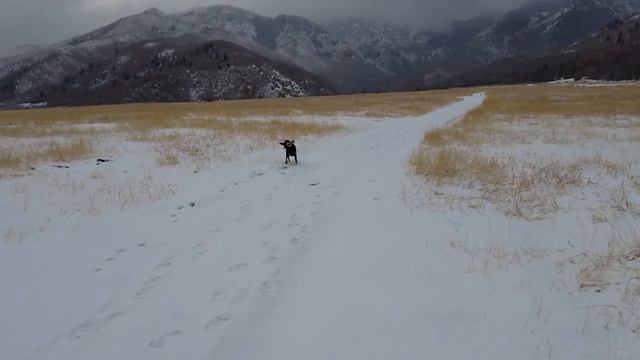 DJI Osmo Pocket 2 Field Test & Review｜Mic Tests смотреть онлайн