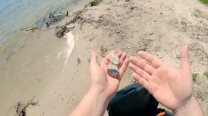 КОРОЧЕ ГОВОРЯ, ПРОГУЛЯЛ ШКОЛУ [От первого лица] – МЕНЯ ВЫГНАЛИ ИЗ ДОМА.