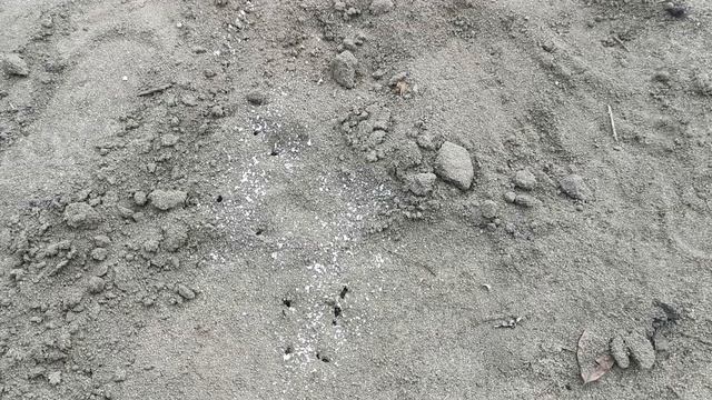 Строительные Творцы