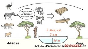 Когда первые люди вышли из Африки
