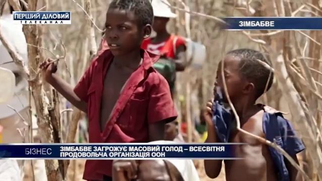 Зимбабве грозит массовый голод смотреть онлайн