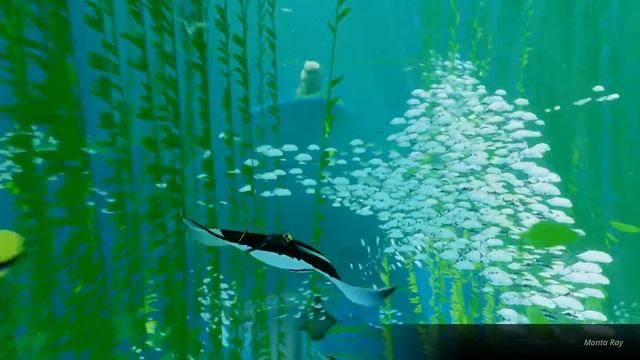 ABZU || ? Atmospheric Underwater Adventure Game || Part 1 смотреть онлайн