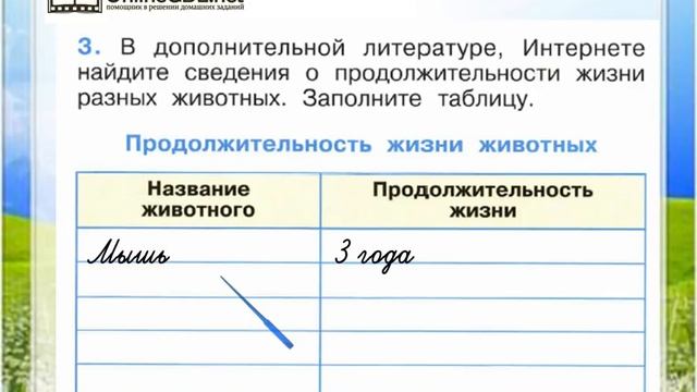 Задание 3 Как живут животные? - Окружающий мир 1 класс (Плешаков А.А.) 1 часть смотреть онлайн