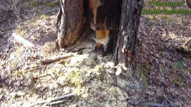 2 заезд 2 день Идём на Резервный участок Белки (1 часть) 28 10 22 смотреть онлайн