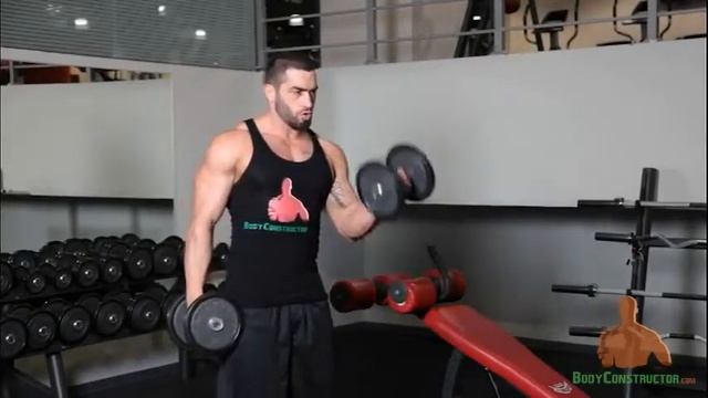 Lazar Angelov подъем гантелей стоя с супинацией смотреть онлайн