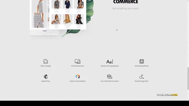 Saeka - Clean WordPress Blog e-commerce 15 смотреть онлайн