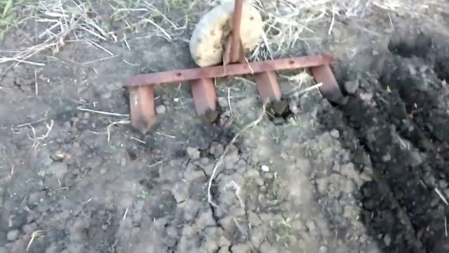 сажалка для лука и чеснока и семян ручная своими руками смотреть онлайн