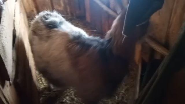 Обзор небольшого фермерского хозяйства смотреть онлайн