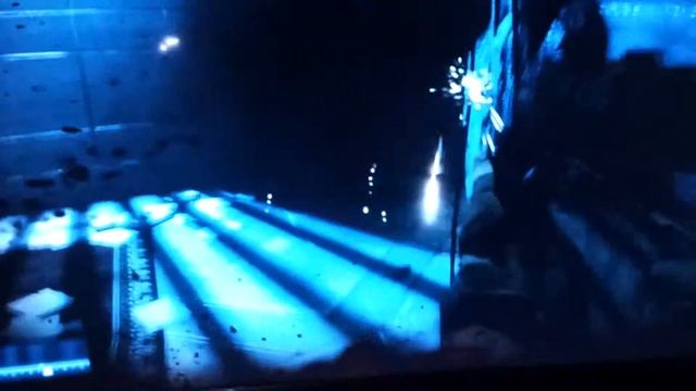 BF31 смотреть онлайн