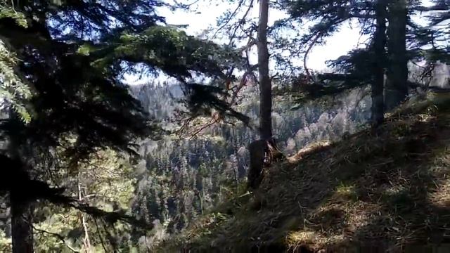 Большой Тхач, Май 2018 смотреть онлайн