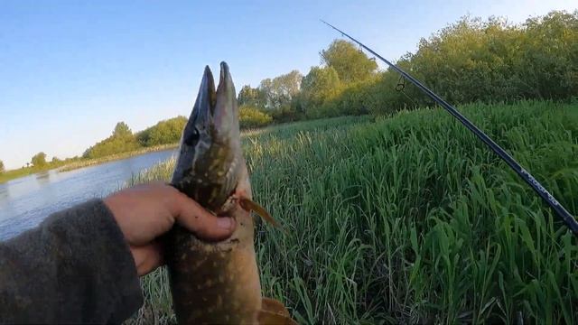 Pontoon 21 Gad PinPoint гасит щук на раз смотреть онлайн