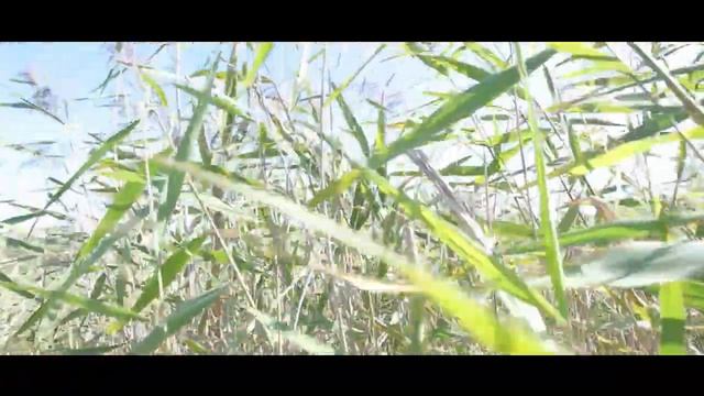 тест DSLR крана 1.0. смотреть онлайн