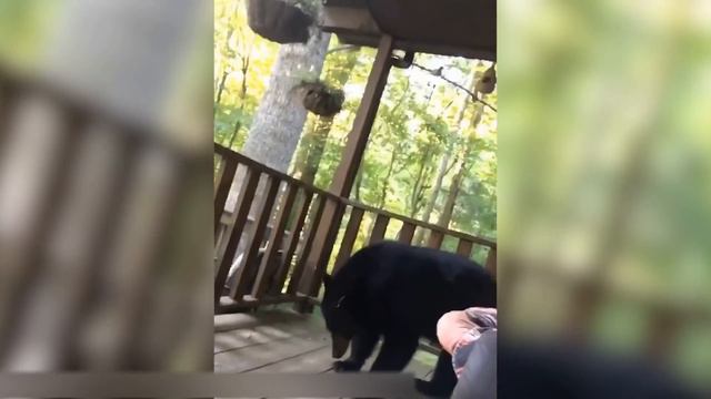 21 ЧЕЛОВЕК, КОТОРЫМ УДАЛОСЬ ОСТАТЬСЯ СПОКОЙНЫМИ В САМЫХ СТРЕССОВЫХ СИТУАЦИЯХ смотреть онлайн