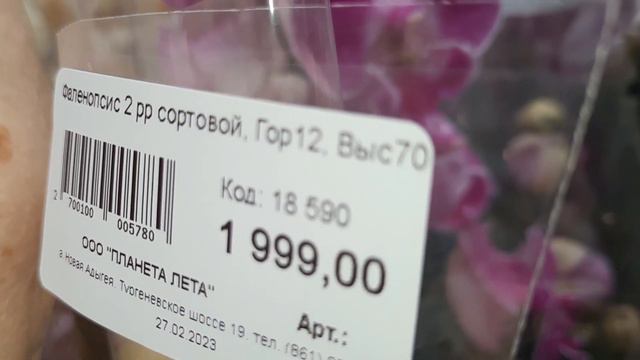 СКИДКИ НА ОРХИДЕИ В ПЛАНЕТЕ ЛЕТА/27.03.23/ смотреть онлайн