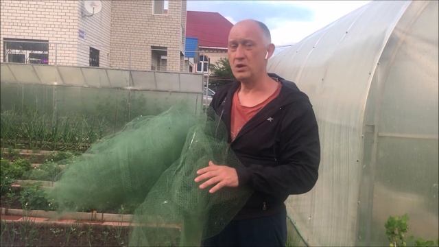 Осторожно дрозды! или как мы жимолость спасали смотреть онлайн